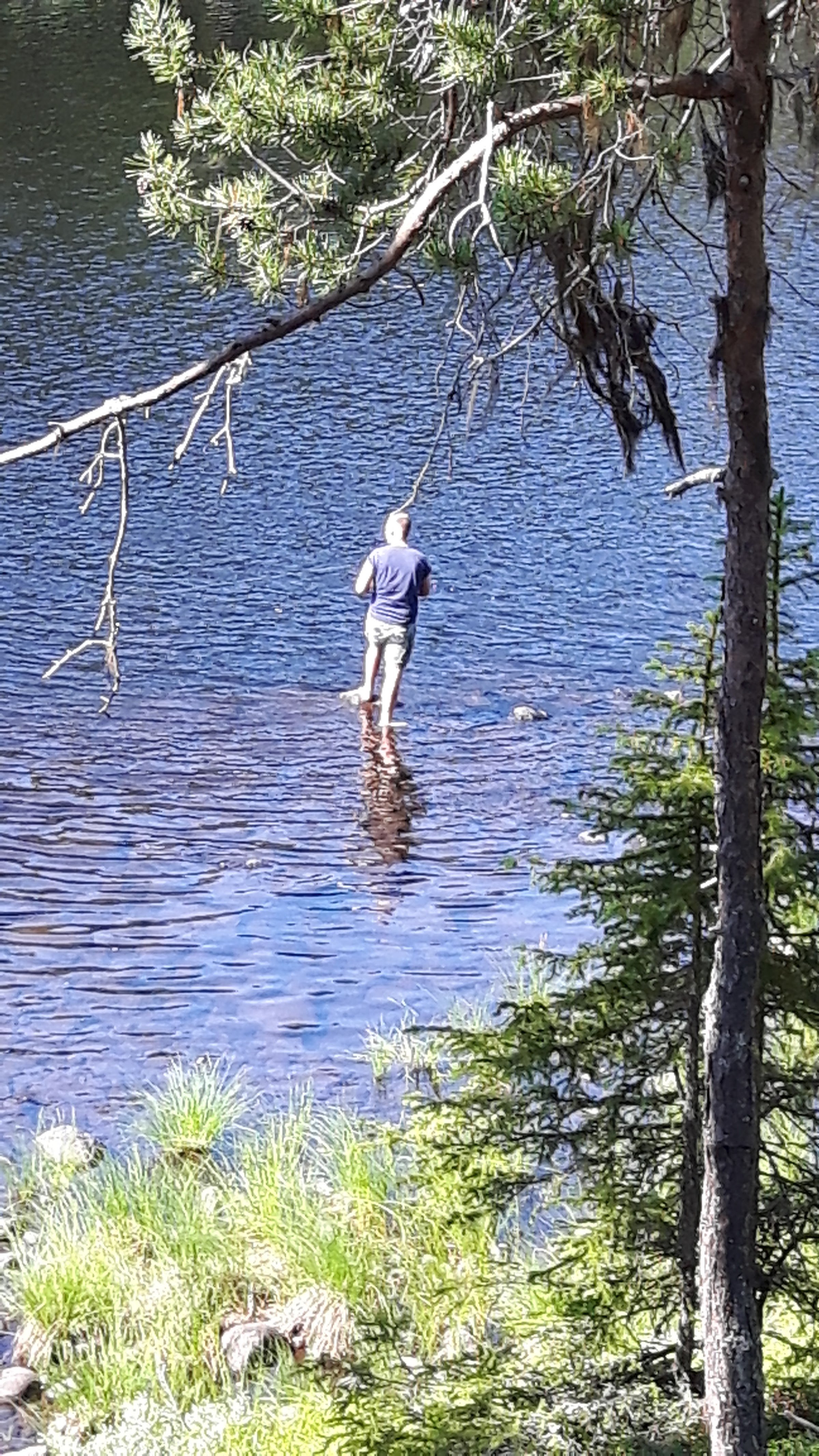 Natursafari i Abborrträsk